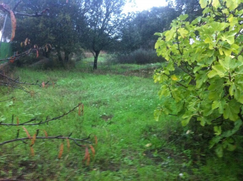 Land in Malpartida de Cáceres, Cáceres for sale - Building Photo - Image 3 of 3