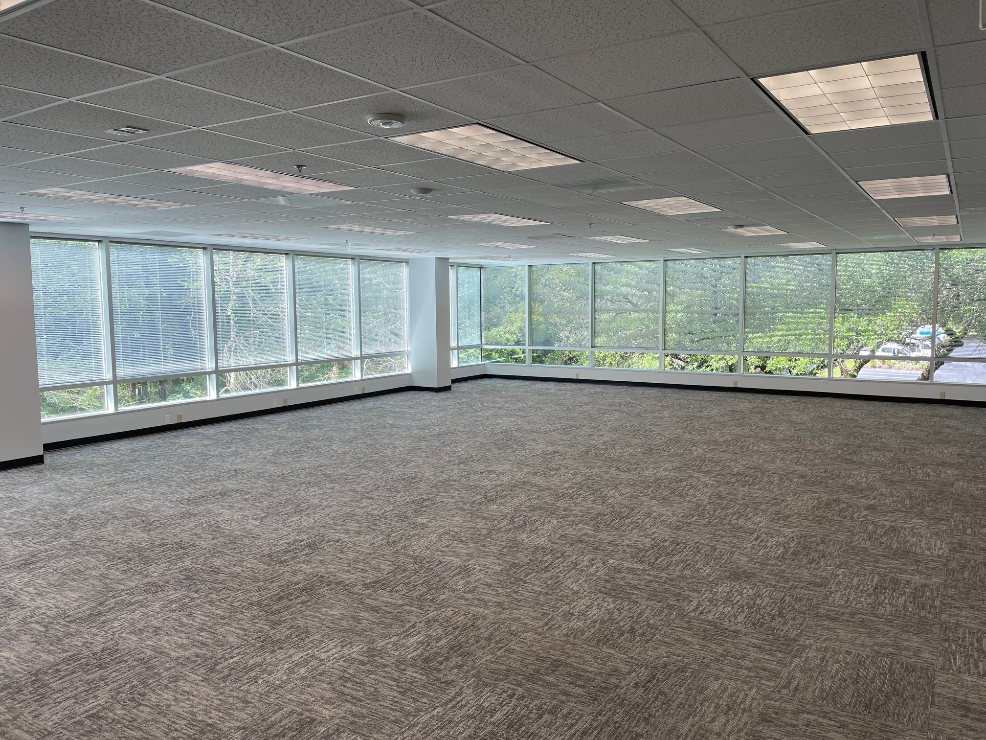 3810-3820 Northdale Blvd, Tampa, FL for lease Interior Photo- Image 1 of 5