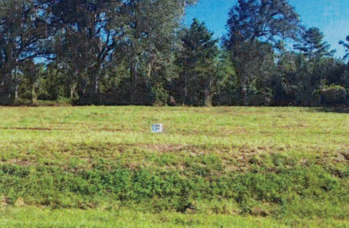 2 Turkey Ridge Ln, Quitman, GA 31643