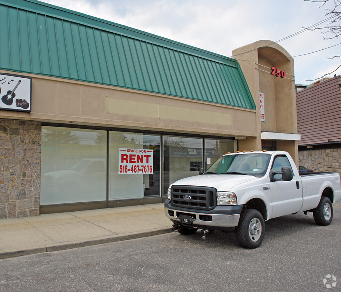 250 W Old Country Road, Hicksville, NY for lease - Building Photo - Image 3 of 6