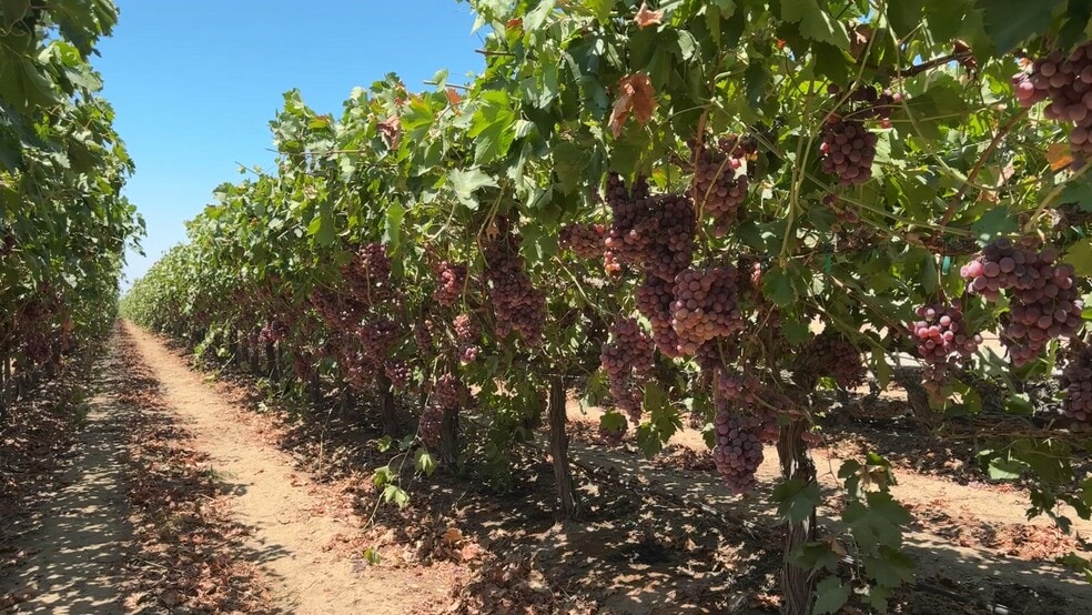 34338 Nevis, Mc Farland, CA for sale - Commercial Listing Video - Image 2 of 53