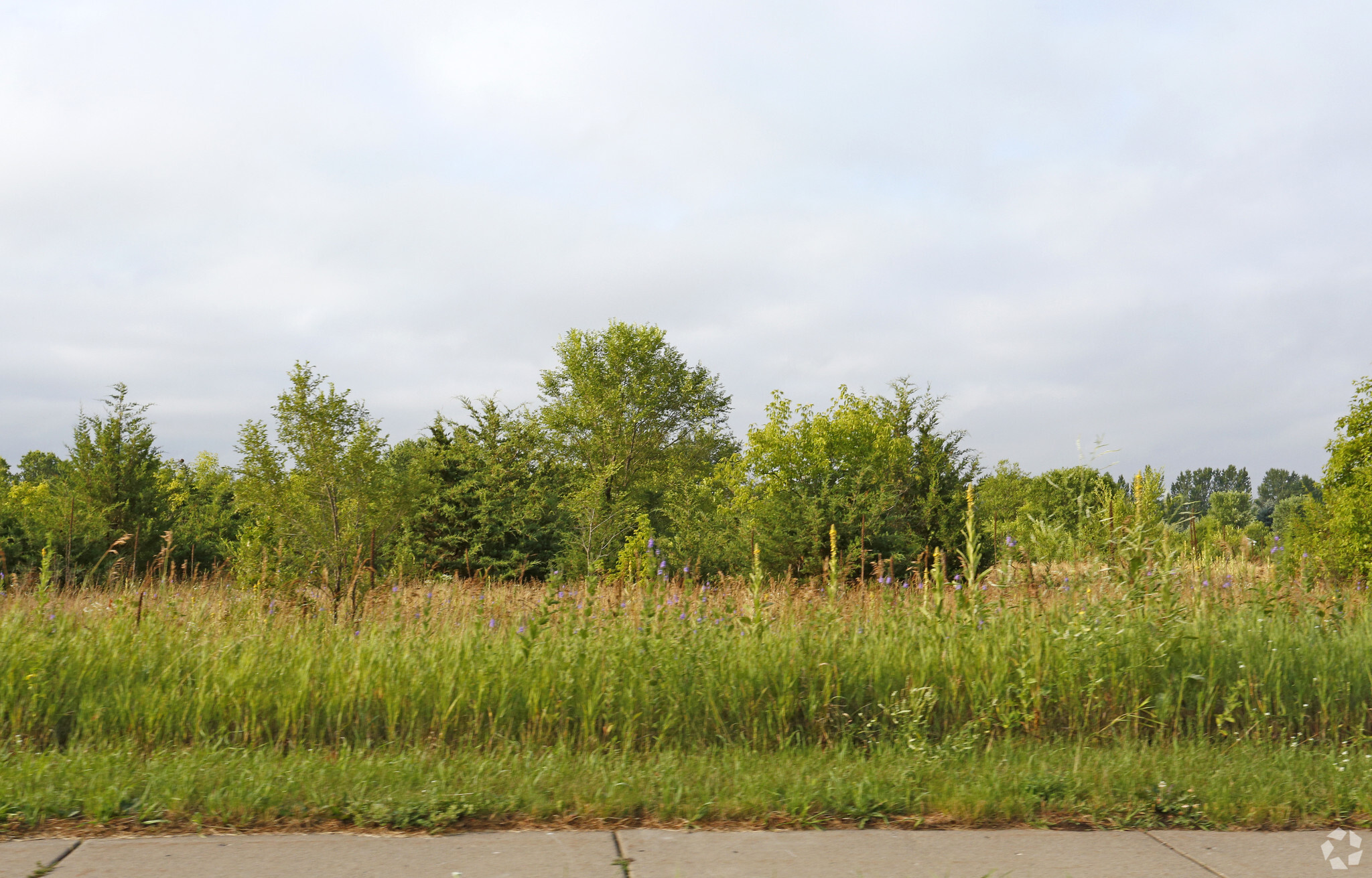 13560 Business Center Dr NW, Elk River, MN for sale Primary Photo- Image 1 of 1