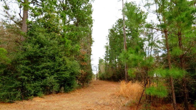 MUNSON Rd, Livingston, TX for sale Other- Image 1 of 1
