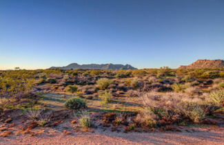 More details for 0 N Landfill Rd, Surprise, AZ - Land for Sale