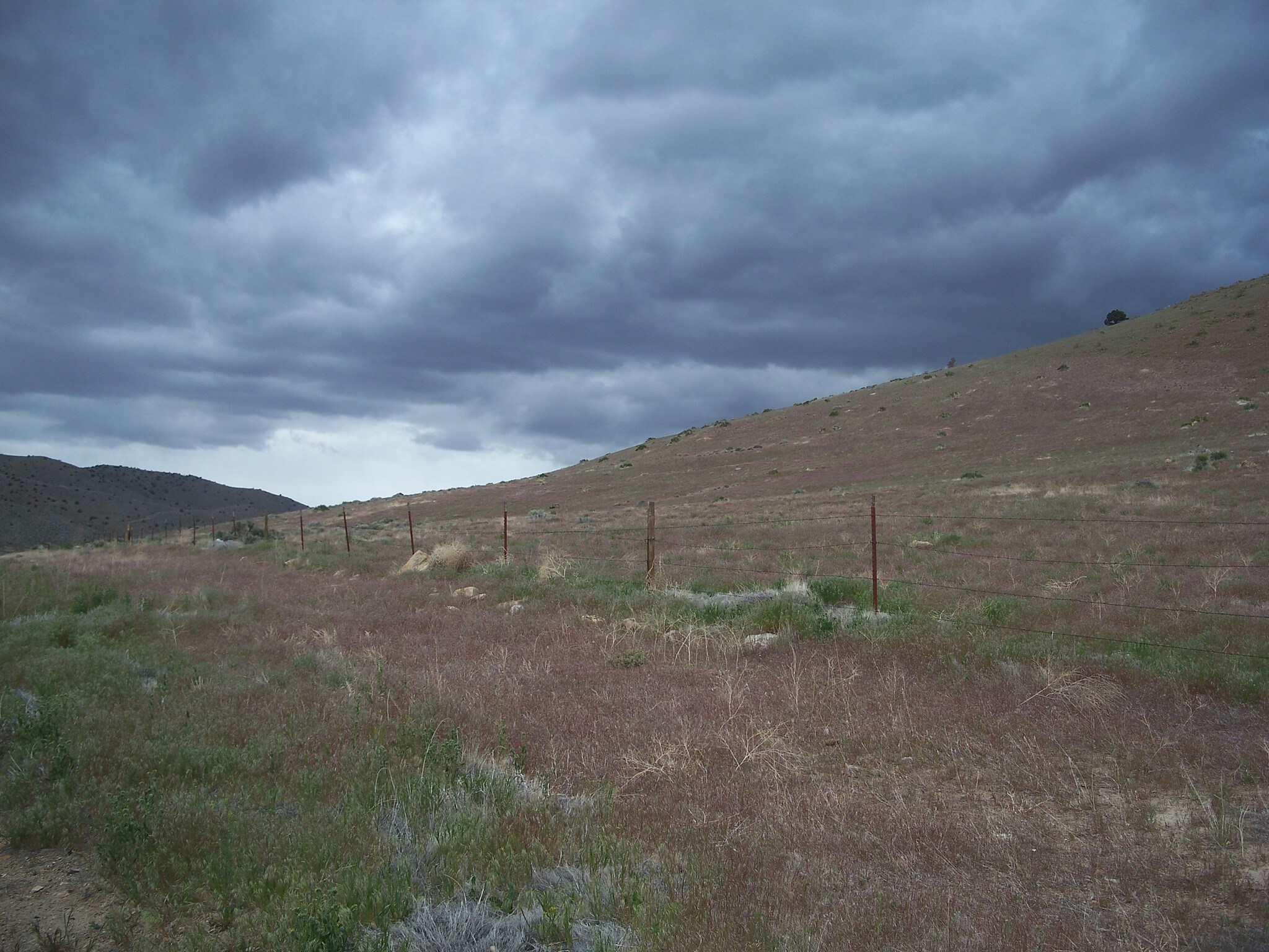 Winnemucca Rd, Reno, NV for sale Building Photo- Image 1 of 1