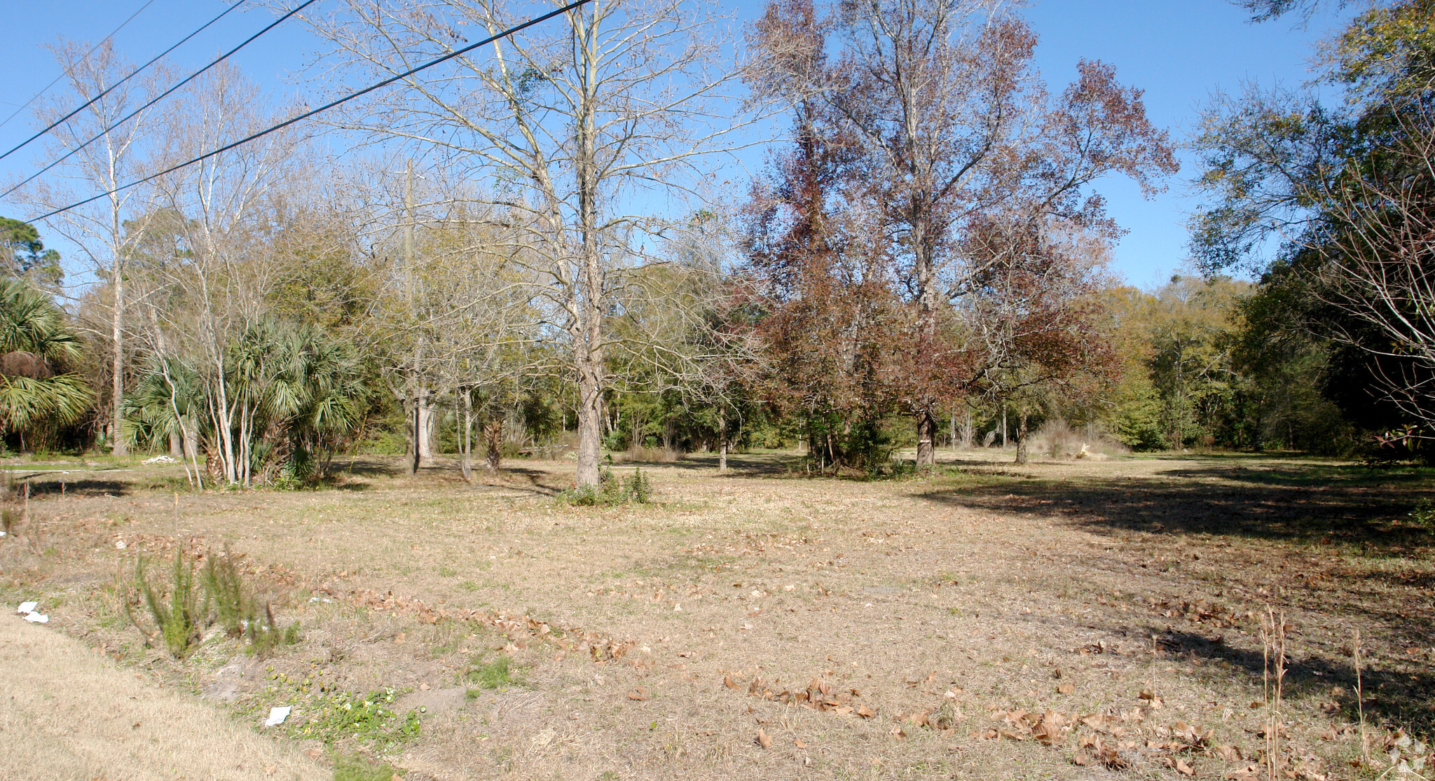 15311-15249 N Main St, Jacksonville, FL for sale Primary Photo- Image 1 of 1