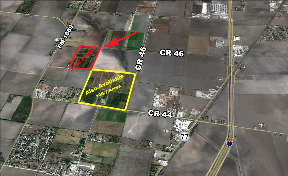 40 Acre Palm Tree Farm FM 1889, Robstown, TX 78380
