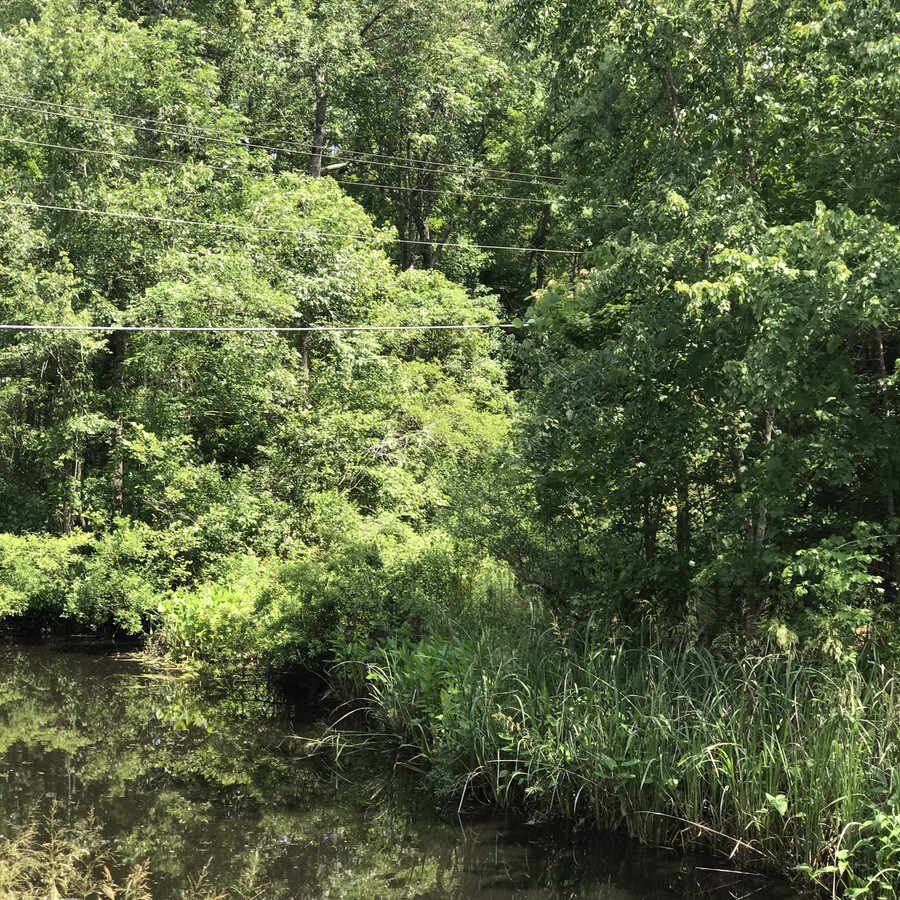 Choppee Rd, SC 29440