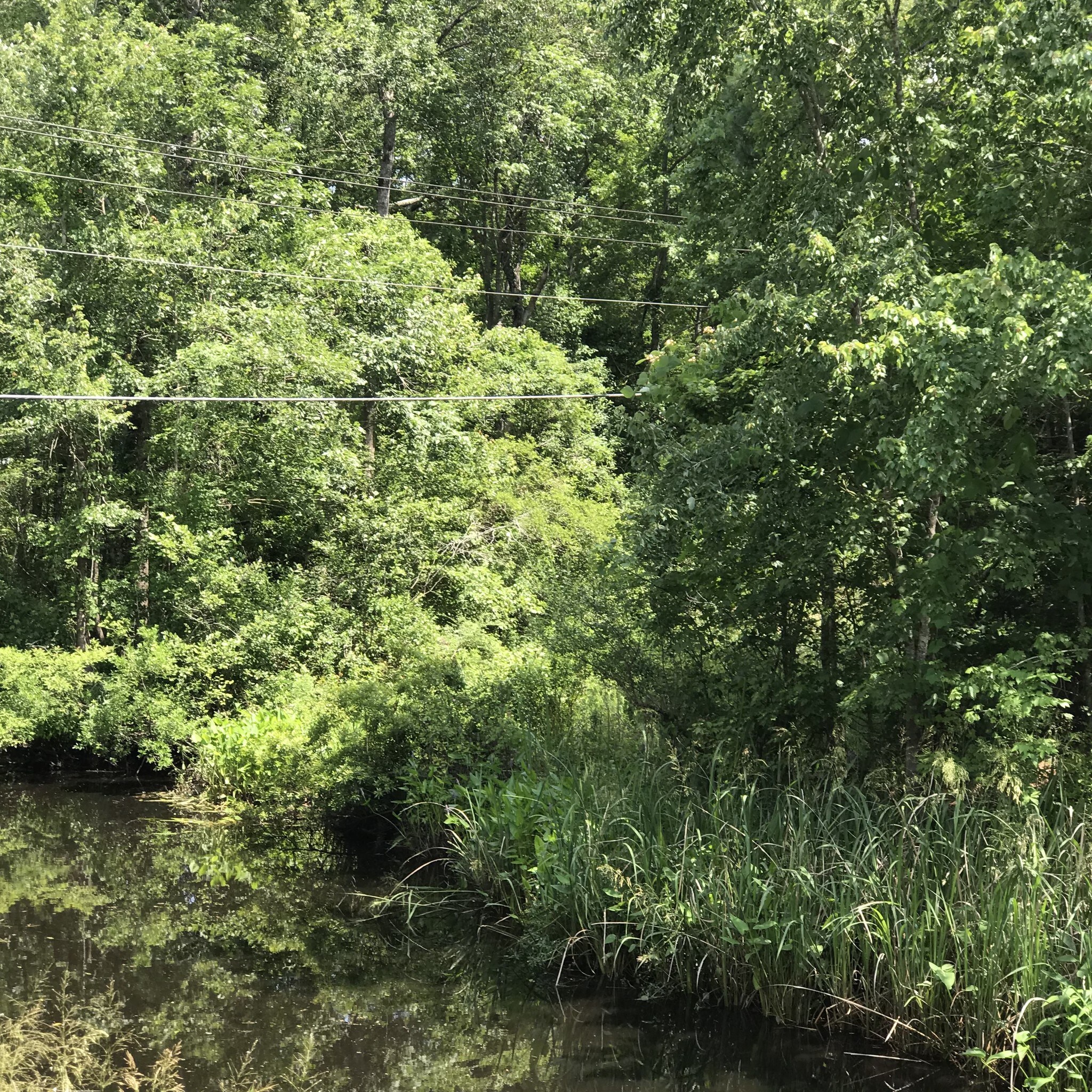 Choppee Rd, Georgetown, SC for sale Building Photo- Image 1 of 1