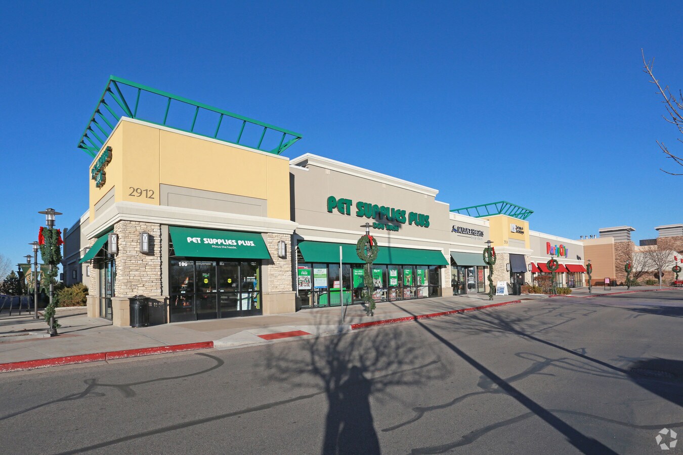 Primary Photo
