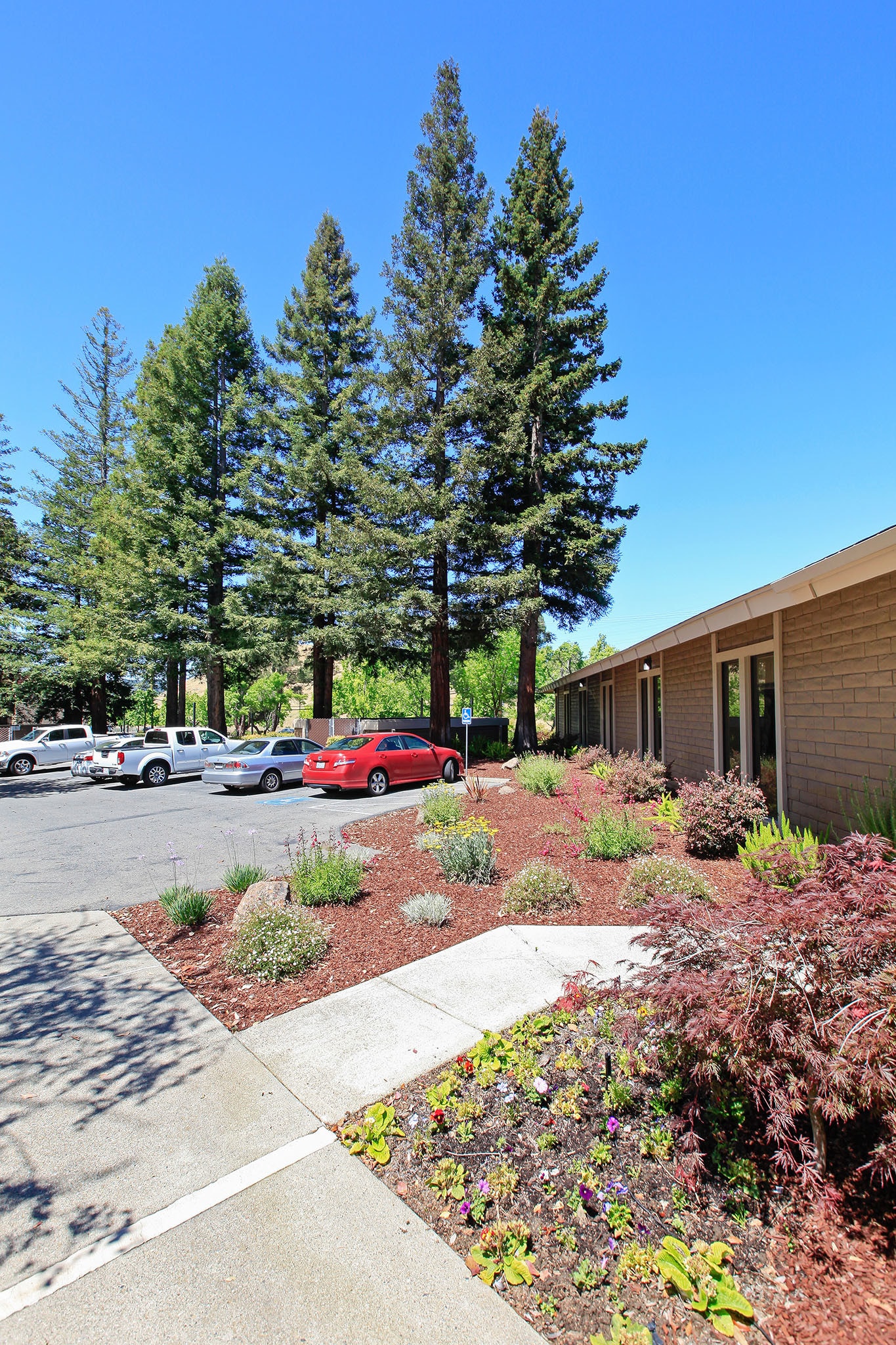 1399 Ygnacio Valley Rd, Walnut Creek, CA 94598 San Marco Office