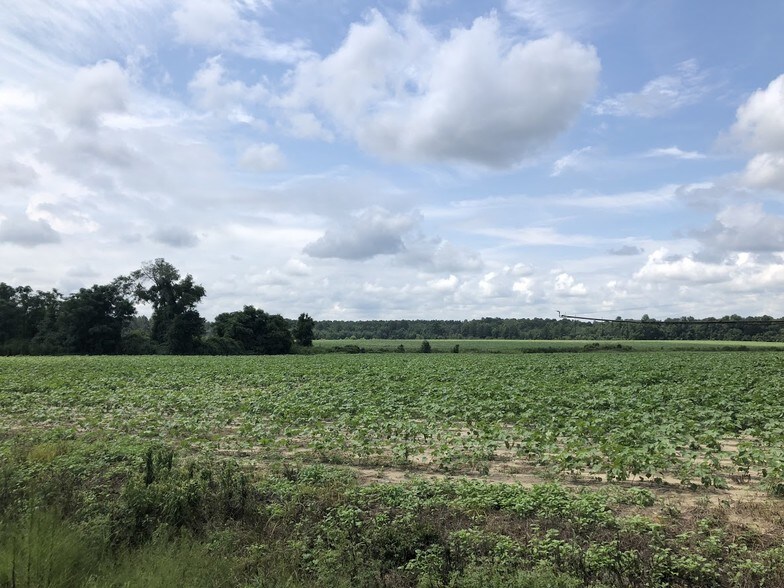 John Benson Rd, Cochran, GA for sale - Other - Image 1 of 1