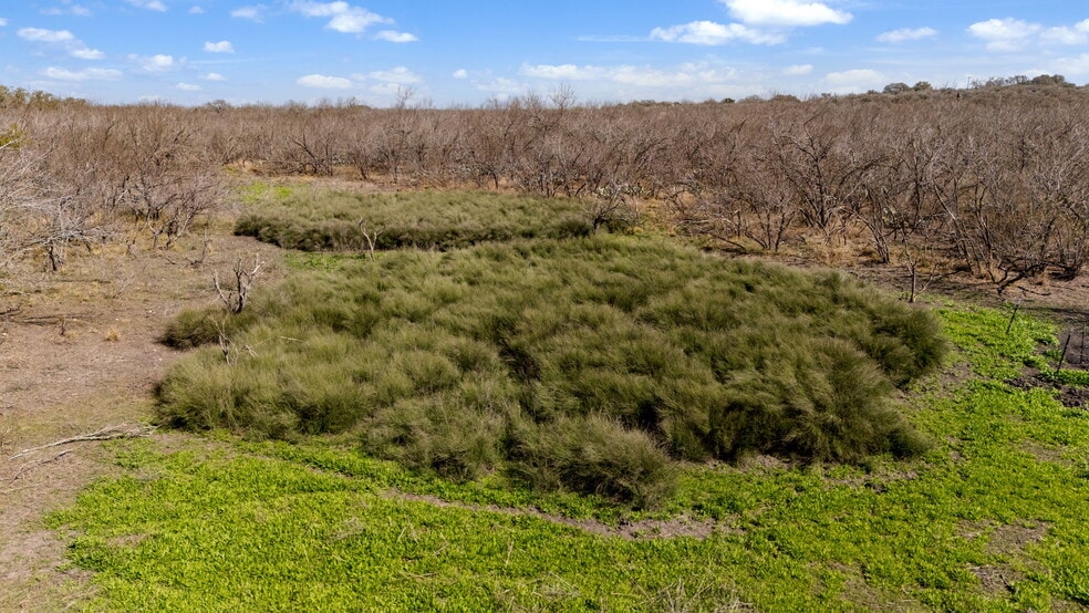 TBD County Road 4516, Hondo, TX for sale - Primary Photo - Image 1 of 20