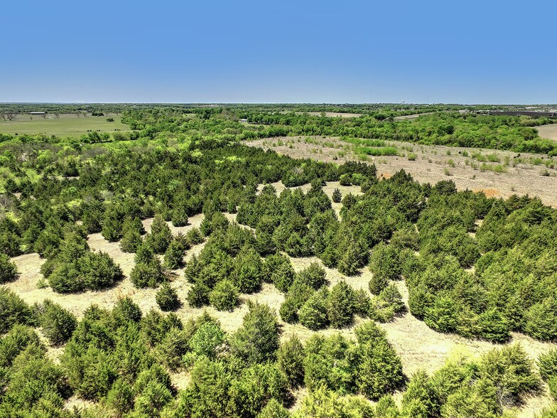 109 Acres Dripping Springs Rd, Sherman, TX for sale - Other - Image 1 of 1