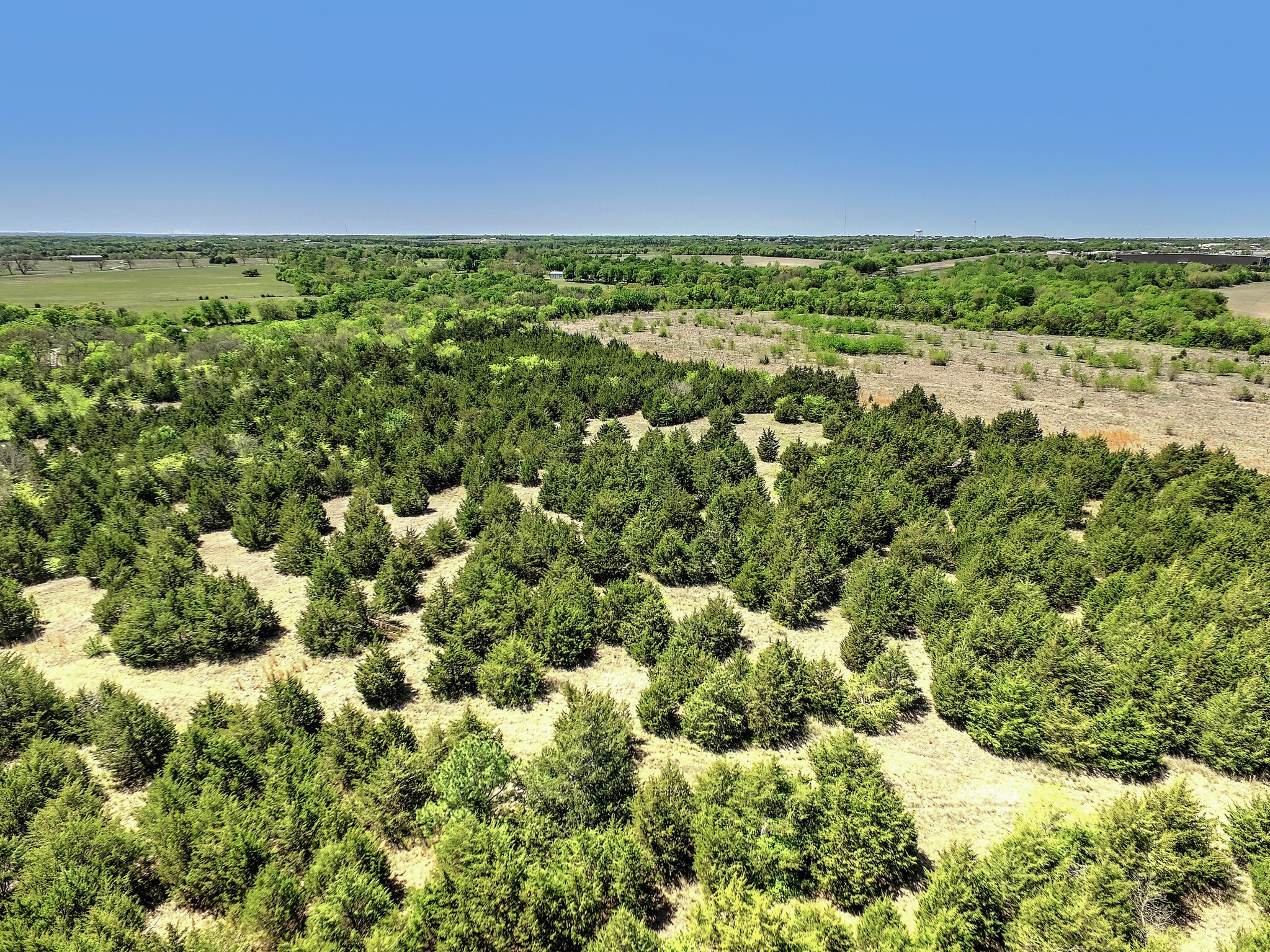 109 Acres Dripping Springs Rd, Sherman, TX for sale Other- Image 1 of 1