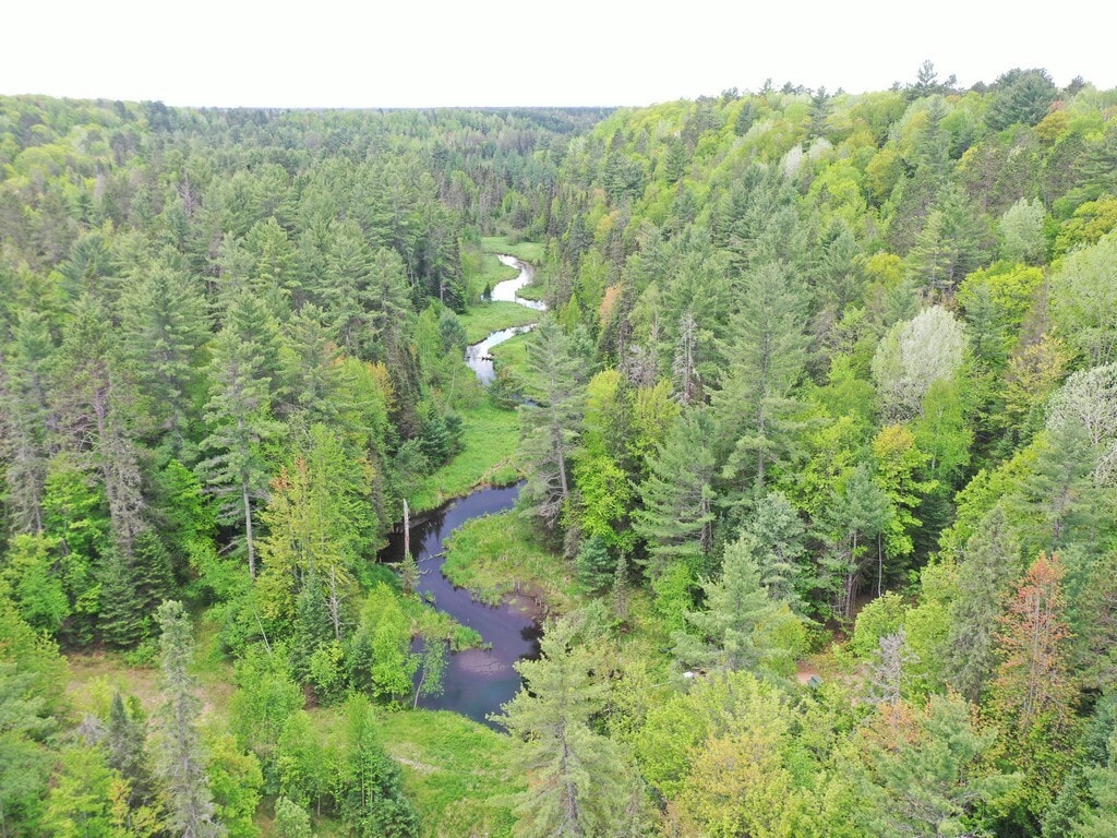 M94, Gwinn, MI 49841