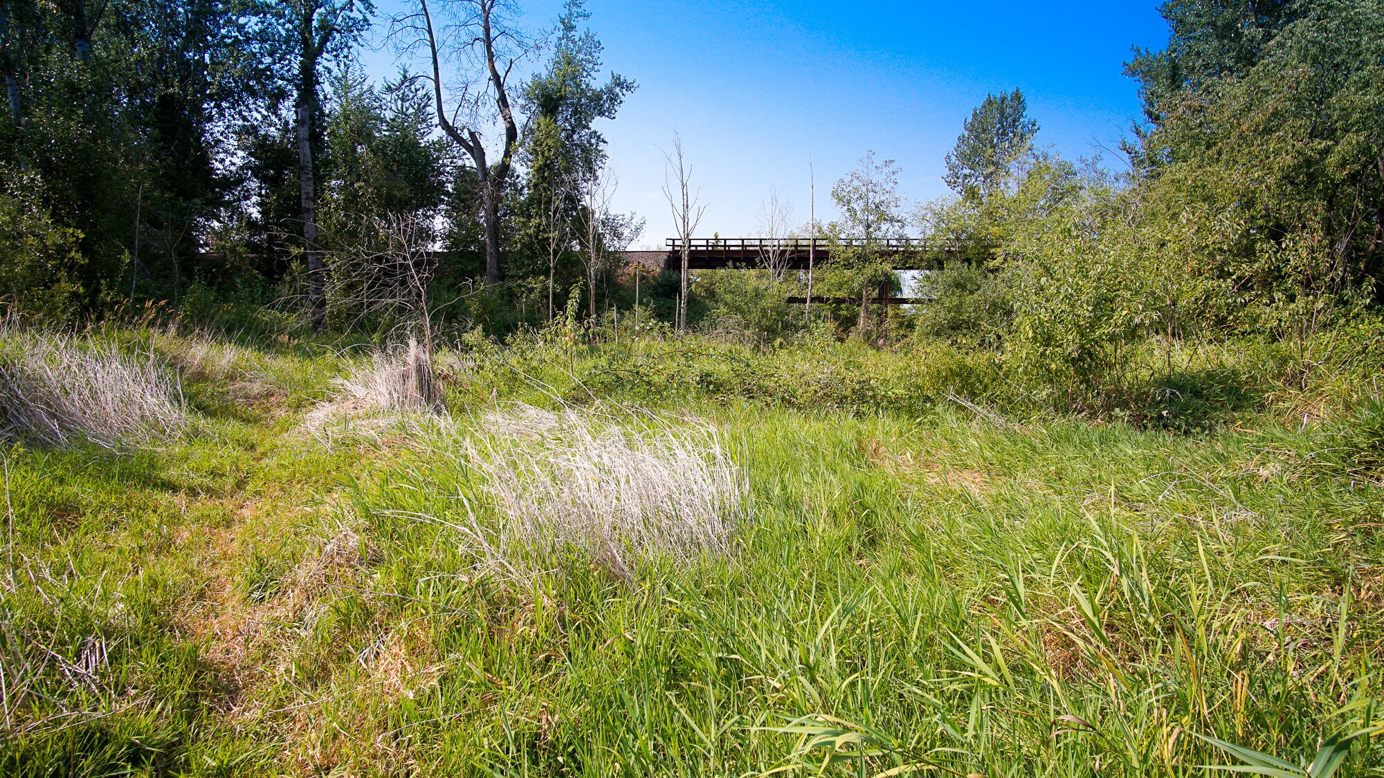 NE Willow Glen Rd, Fairview, OR for sale Other- Image 1 of 1