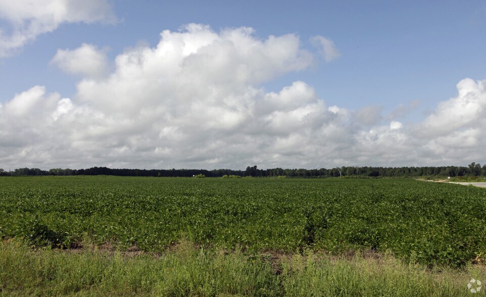 Benns Church Blvd, Smithfield, VA for sale - Primary Photo - Image 1 of 1