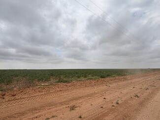 More details for CR 8 and CR 11, Tahoka, TX - Land for Sale