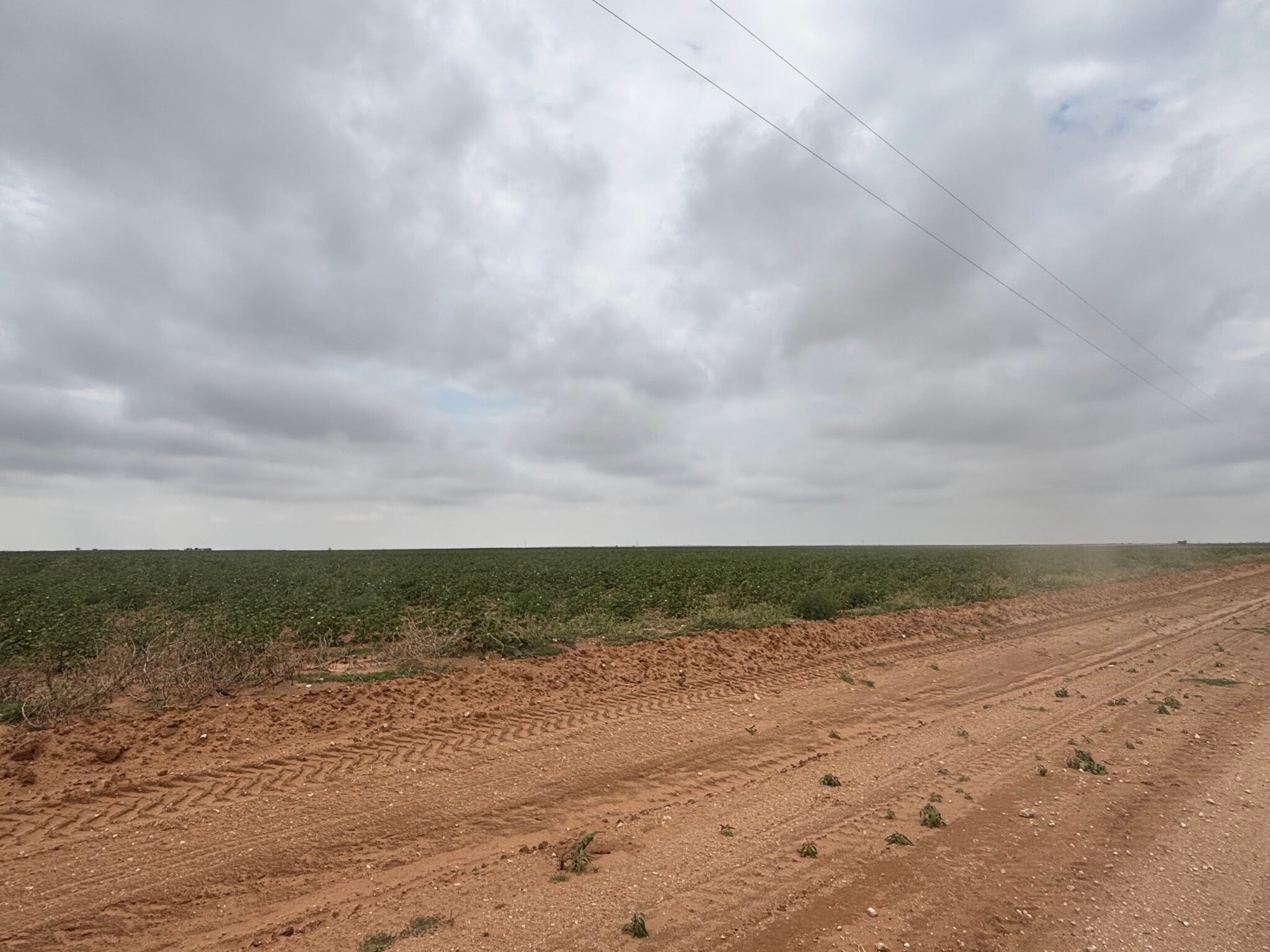 CR 8 and CR 11, Tahoka, TX for sale Other- Image 1 of 7