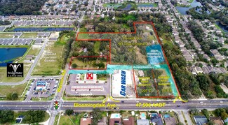 More details for 11400 Bloomingdale Ave, Riverview, FL - Land for Sale