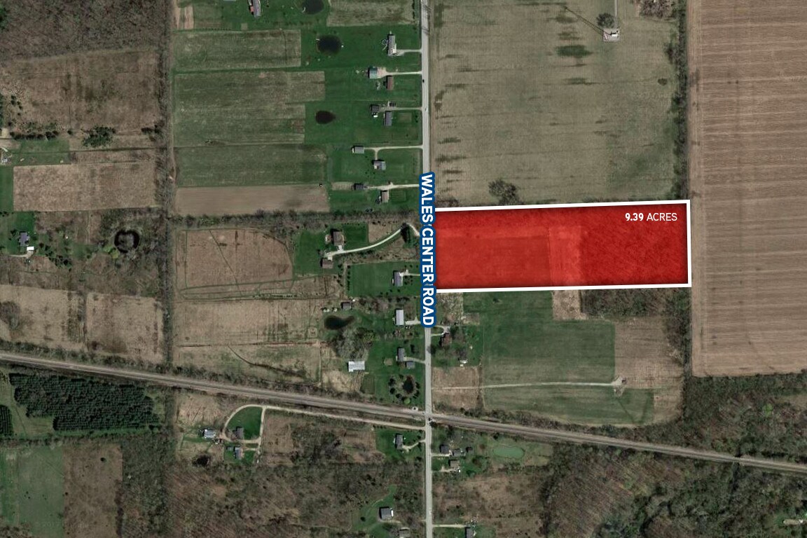 Wales Center Rd, Goodells, MI 48027