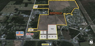 More details for 3440 W Gulf To Lake Hwy, Lecanto, FL - Land for Lease