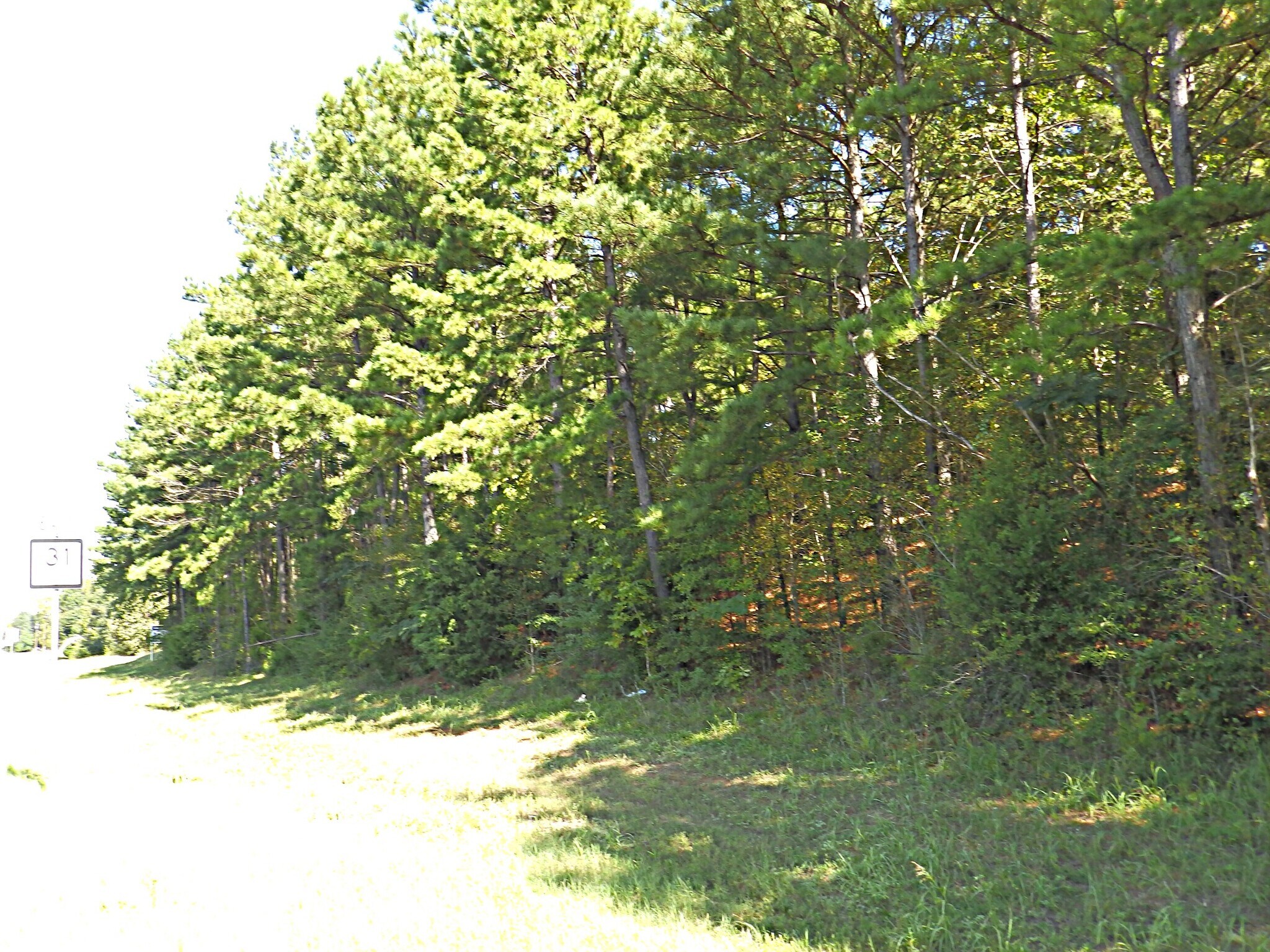 16393 Highway 31, Tyler, TX 75709 Land for Sale