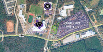 Vacant Land (2.99 Acres) - Convenience Store