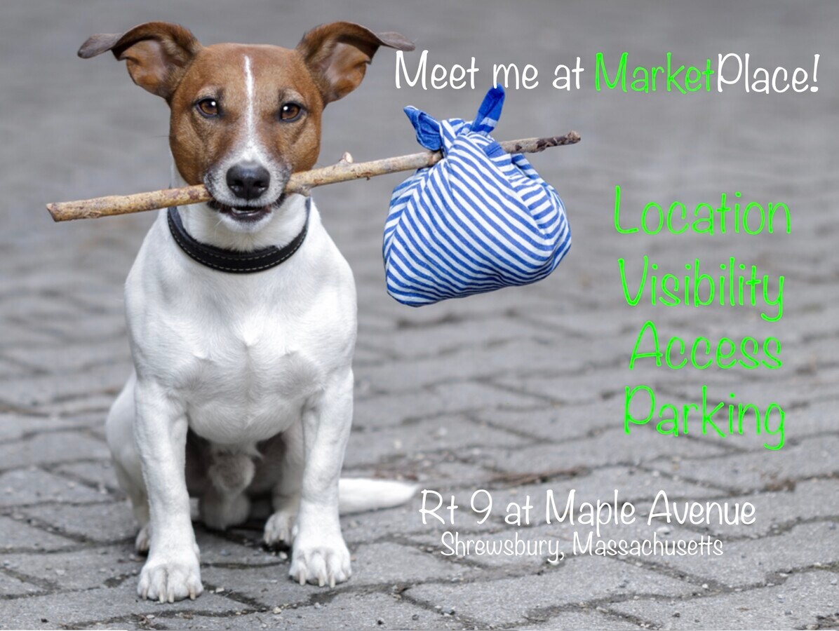 380 Maple Ave, Shrewsbury, MA 01545 Marketplace Shrewsbury