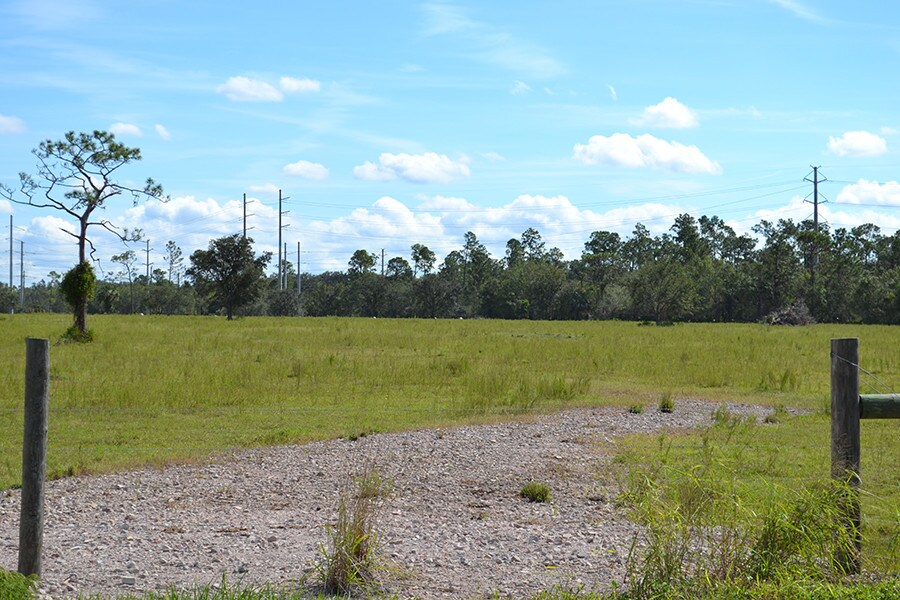 4051 NE Karson St, Arcadia, FL for sale Other- Image 1 of 1