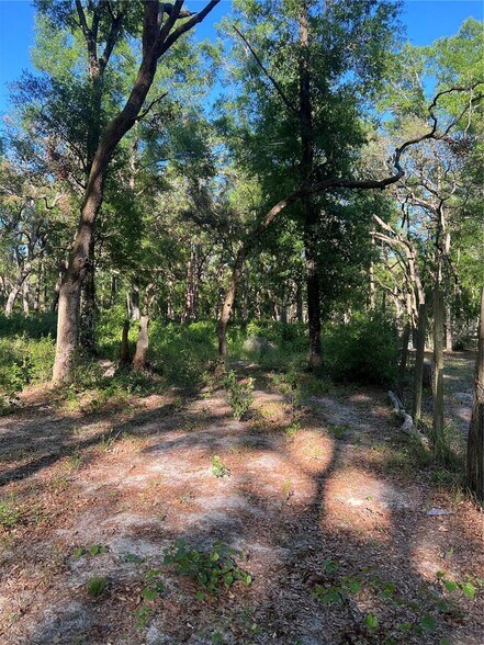 SW 118th Ln, Webster, FL for sale - Other - Image 1 of 1