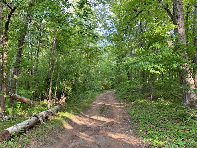 100 Hogan Pond Ln, Ball Ground, GA for sale - Building Photo - Image 1 of 1