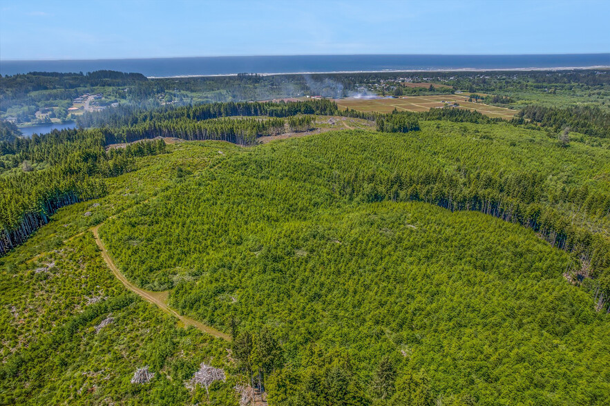 1000 Williams St, Ilwaco, WA for sale - Aerial - Image 3 of 9