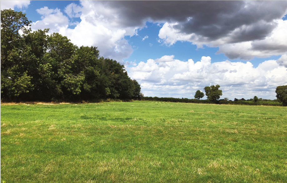 Meadow Drift, Cambridge for sale - Primary Photo - Image 1 of 1