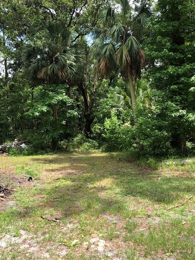 73 Hope Ln, Saint Marks, FL for sale - Primary Photo - Image 1 of 1