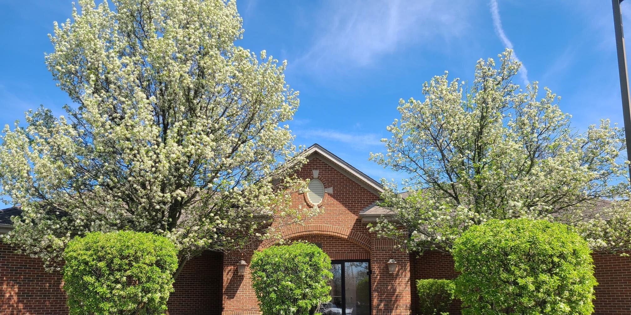 6723-6727 S Kingery Hwy, Willowbrook, IL for sale Building Photo- Image 1 of 1