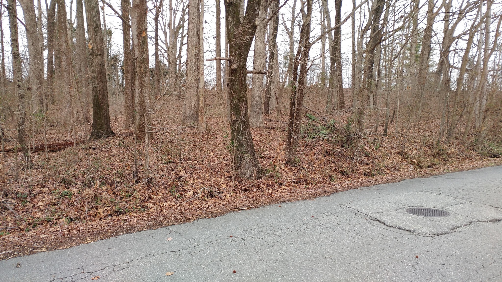 1011 Foust Ave, High Point, NC for sale Building Photo- Image 1 of 1