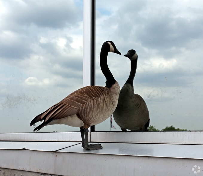 1300 E 104th St, Kansas City, MO for sale - Building Photo - Image 2 of 10