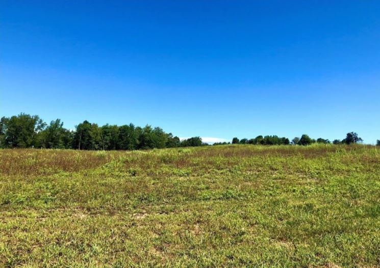 223 Trimmer Rd, Spencerport, NY for sale - Primary Photo - Image 1 of 1