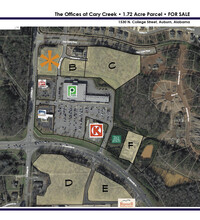 1530 N College St, Auburn, AL - AERIAL  map view