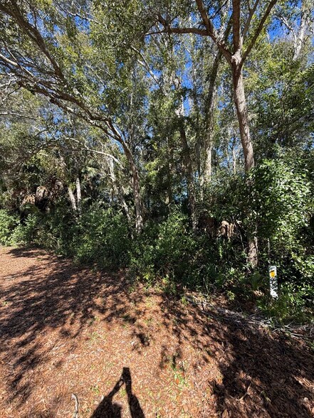 TBD 4th Street, Apalachicola, FL for sale - Primary Photo - Image 1 of 1