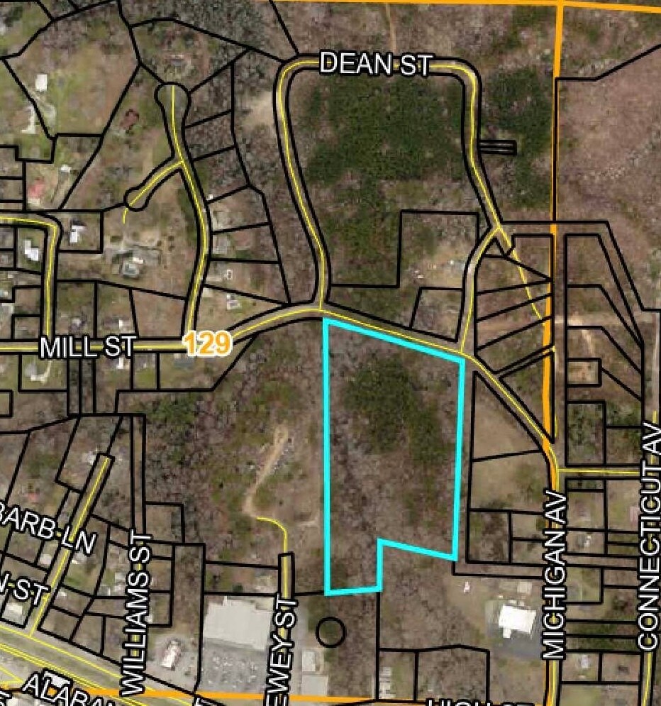 0 W Mill St, Tallapoosa, GA 30176 Land for Sale