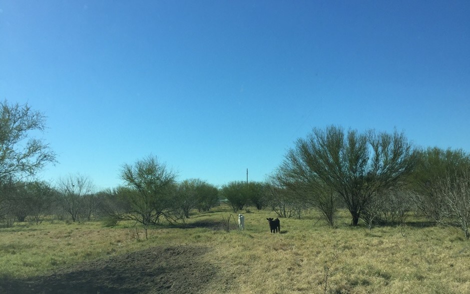 526 CR, Skidmore, TX 78389