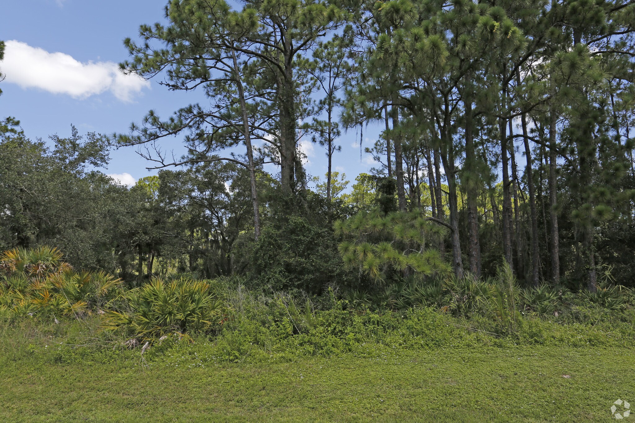 2311 El Jobean Rd, Port Charlotte, FL for sale Primary Photo- Image 1 of 1