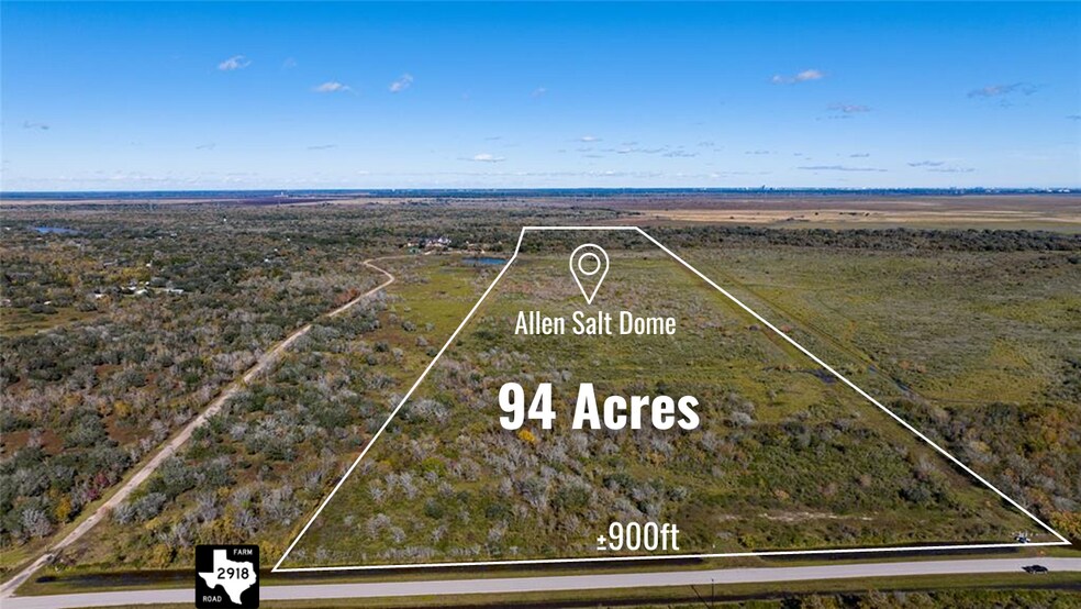 6759 FM 2918, Brazoria, TX for sale - Primary Photo - Image 1 of 1
