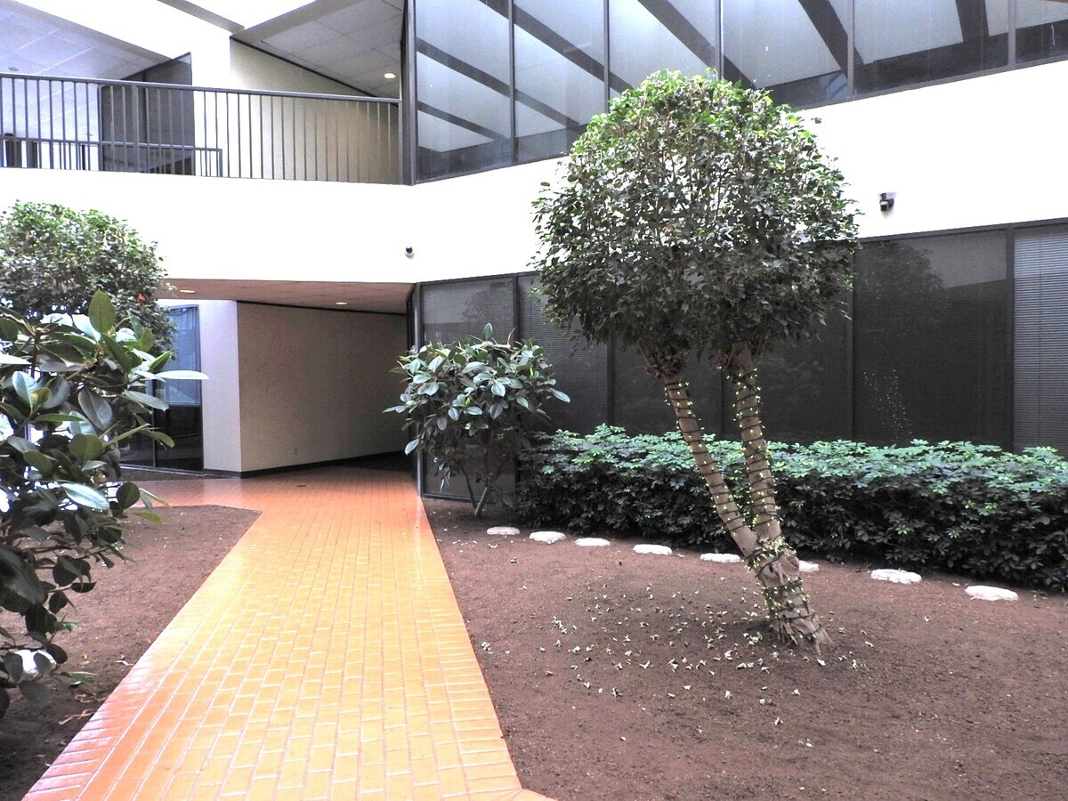 View Photo