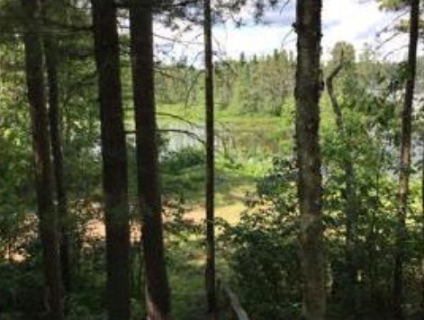 5919 Shelter Bay Trl, Boulder Junction, WI for sale Other- Image 1 of 1