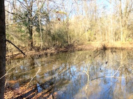 0 Oak Street, Selma, AL for sale - Building Photo - Image 3 of 8