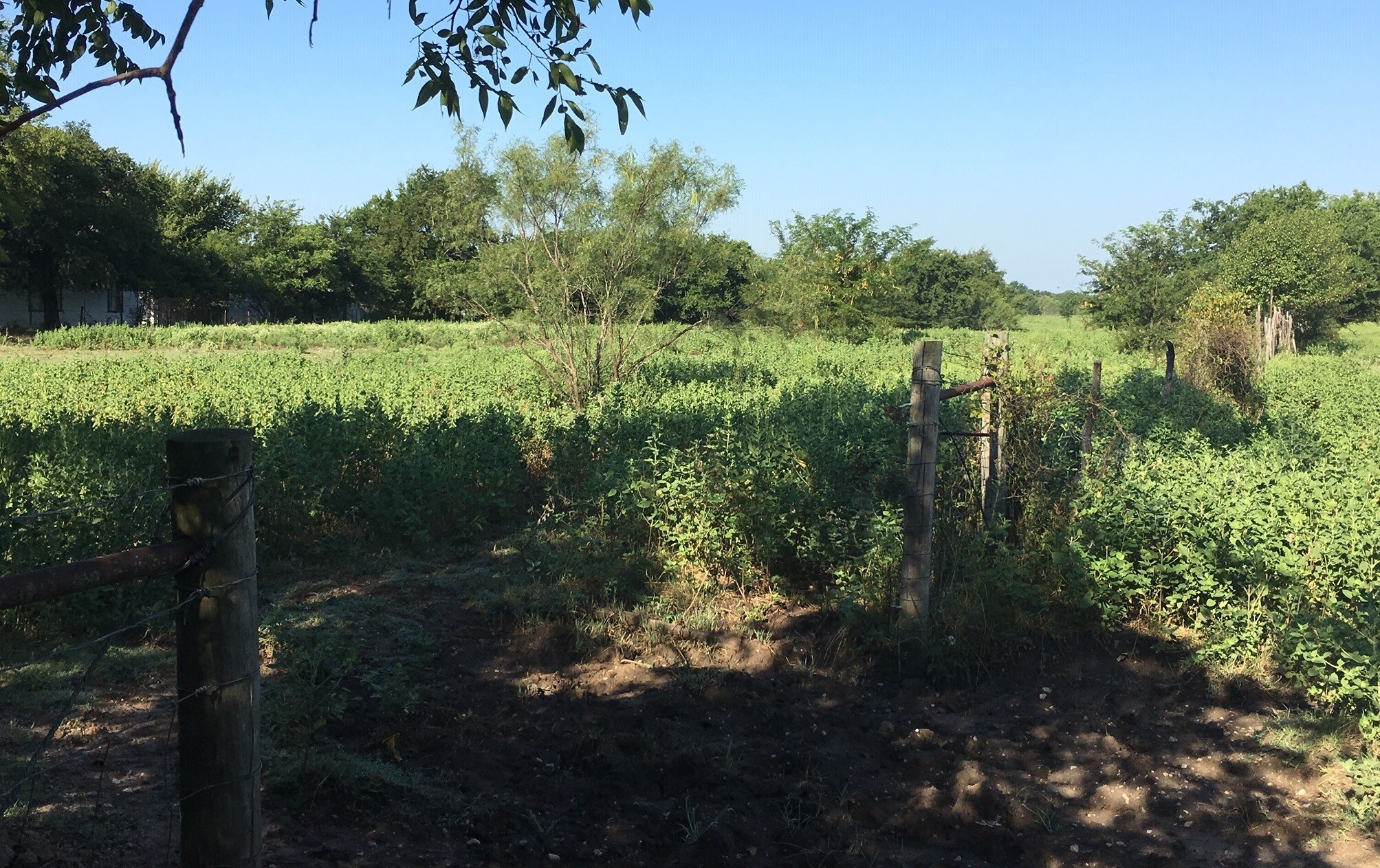 W Lambert Rd, Sherman, TX for sale Primary Photo- Image 1 of 1